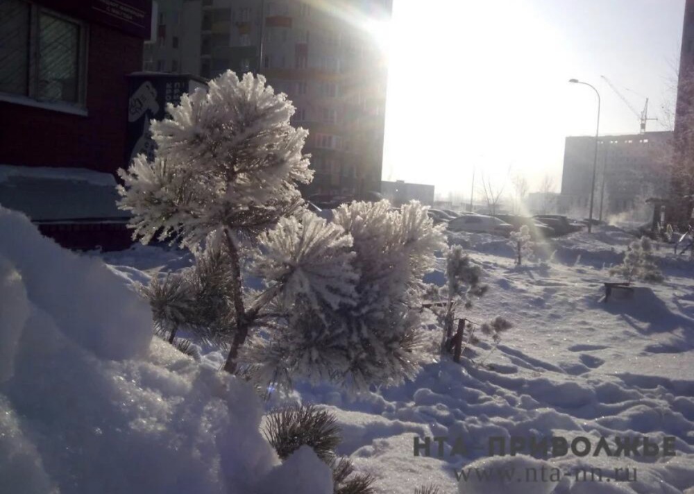 Занятия приостановили в саратовских школах из-за морозов 3 февраля
