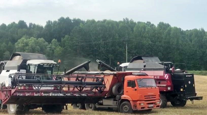В Томской области в уборочную кампанию включились семь районов