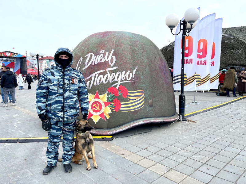 JPG Файл