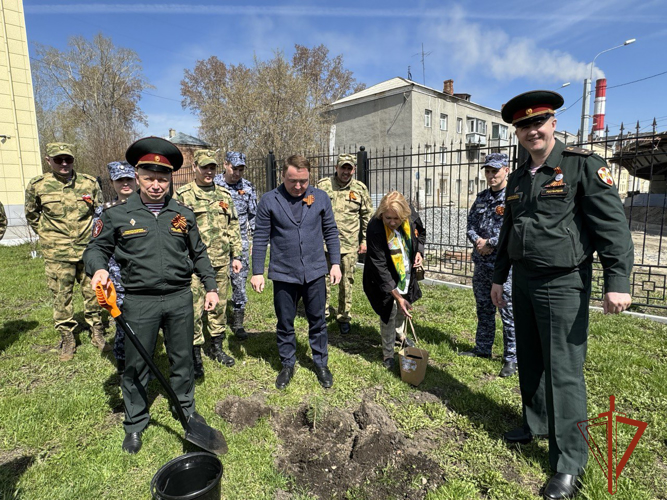 Новосибирские Росгвардейцы посадили сосну из Крыма в знак дружбы между регионами