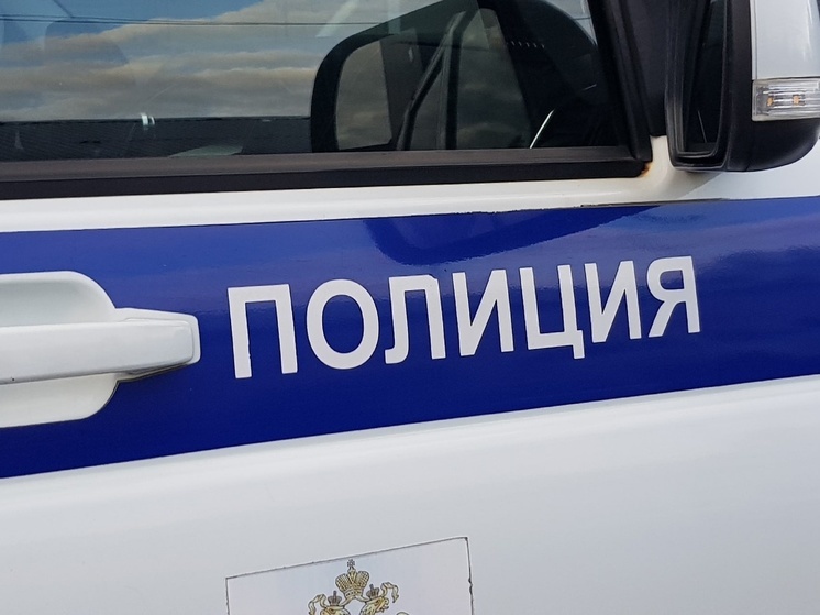Прокуратура Прионежского района Карелии: Врачи спокойно выдали Михеева полиции