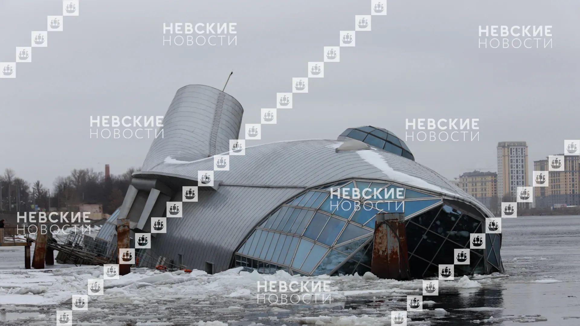 кит санкт петербург