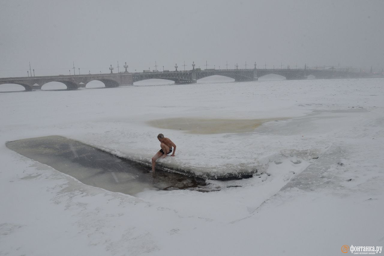 моржи у петропавловской крепости