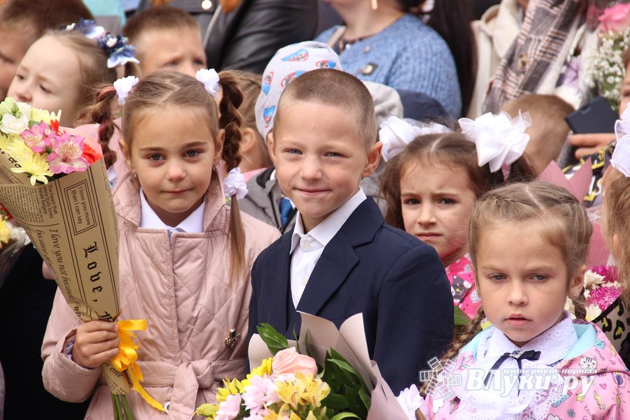 Экономический лицей великие луки