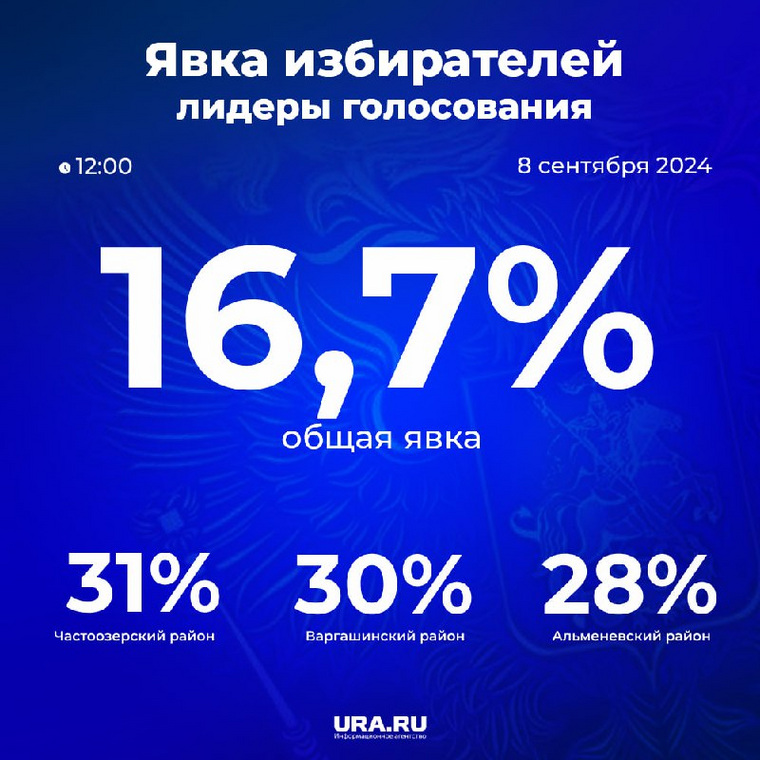 Явка на 12 часов в Курганской области