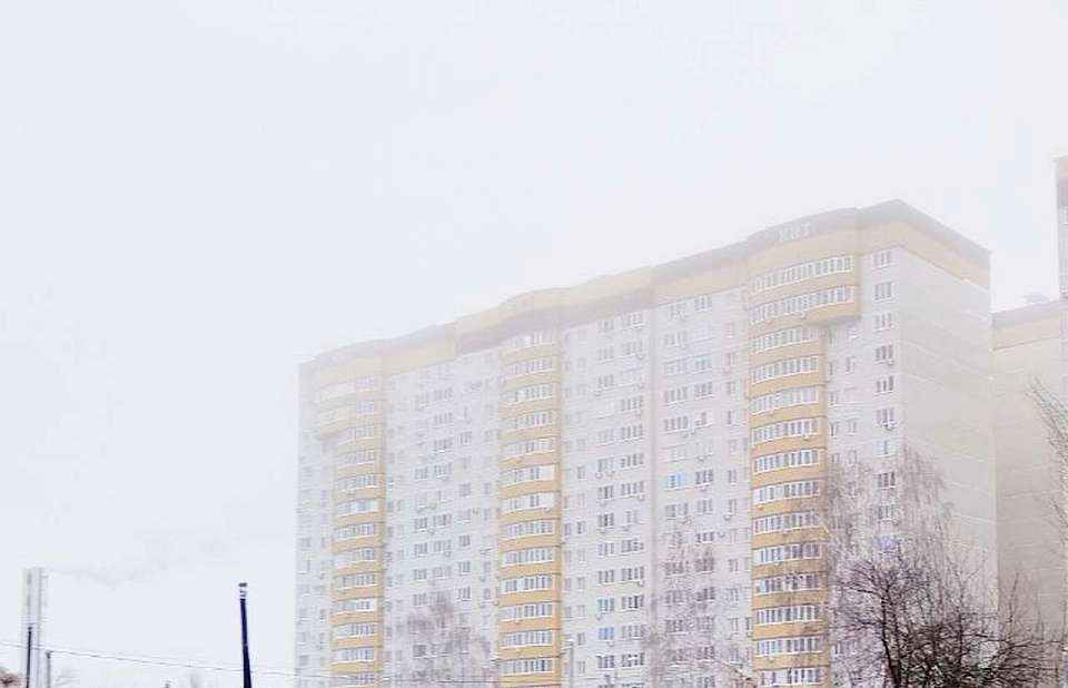 Что будет в Воронеже 29 января. Петр-полукорм. Желтый уровень погодной опасности. Температурные качели. Земельные вопросы