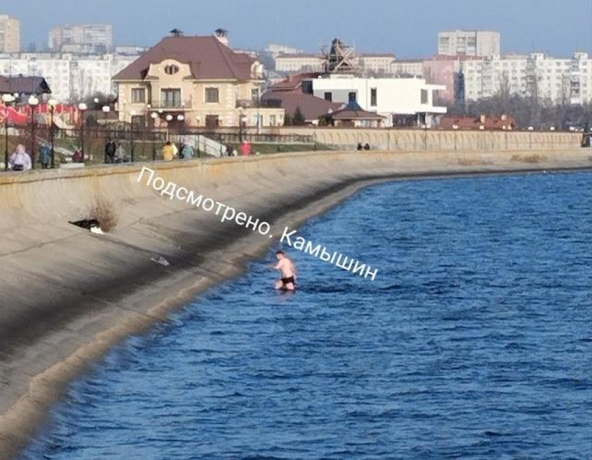 Камышинский паблик нашел отважного купальщика на набережной города 20 ноября