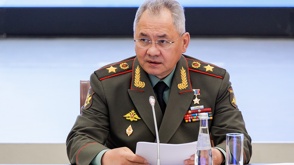 Шойгу назвал глупостью дополнительную мобилизацию. Шойгу в студенчестве. шойгу и студенческие отряды.