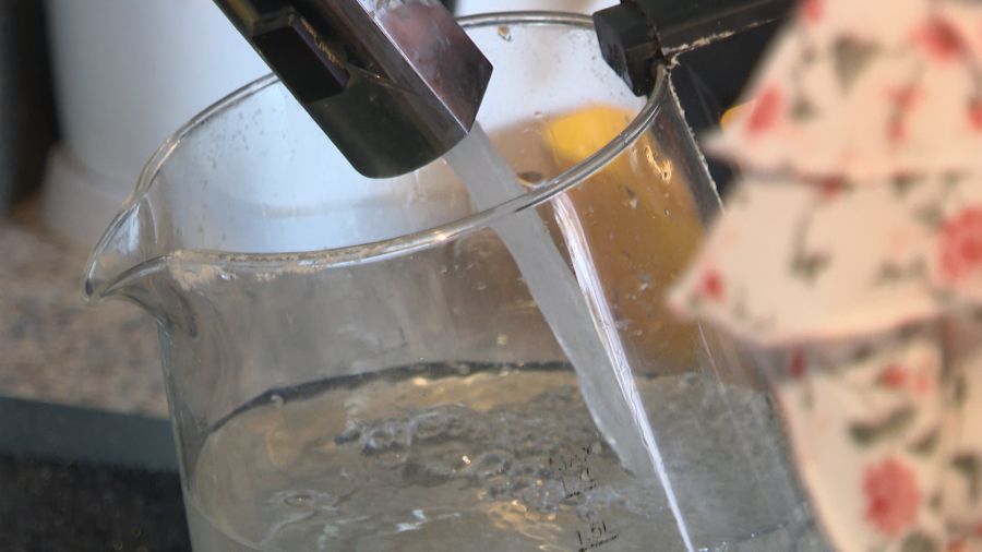 Вода в Ростове Великом может окраситься в зеленый