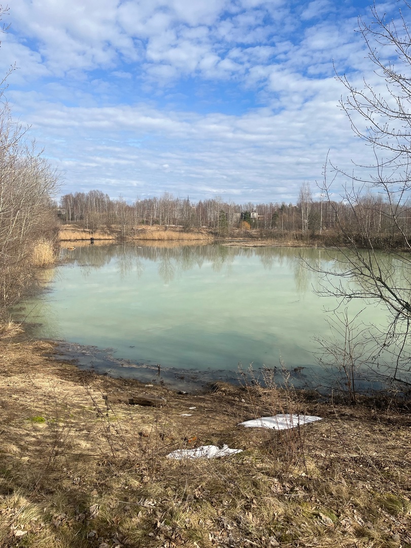 В Ярославле взяли пробы из ручья с позеленевшей водой