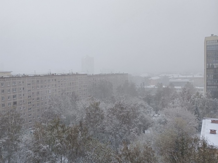 Циклон завалил снегом Свердловскую область