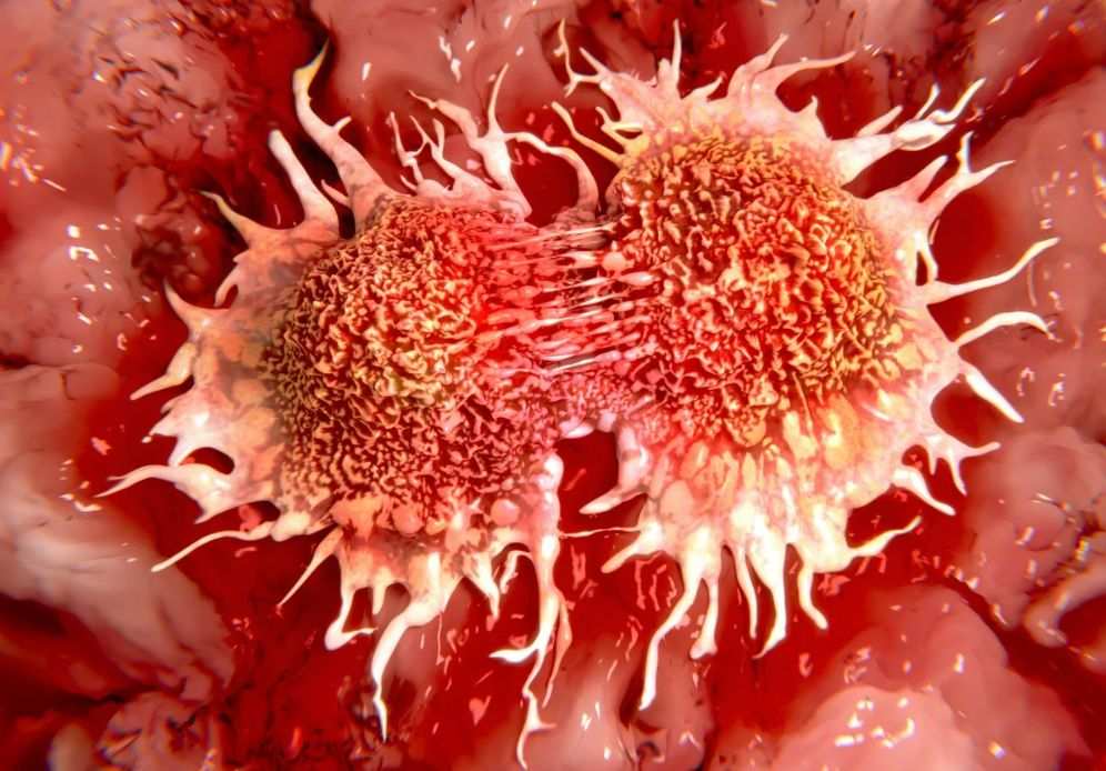 В России создан препарат, предотвращающий появление метастазов при онкологии