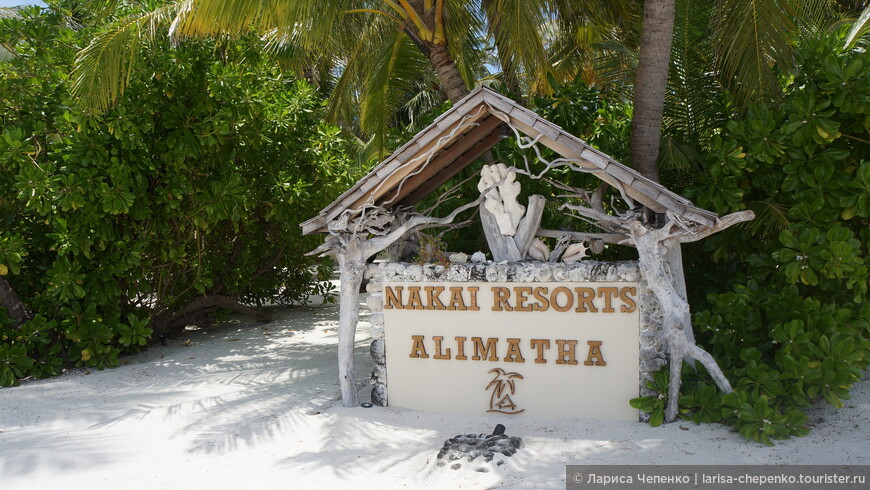 Мальдивы. Домашний риф отеля NAKAI Alimatha Resort