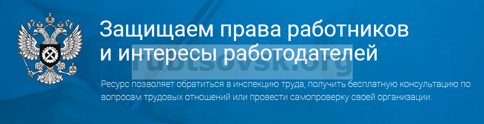 Сервис федеральной службы. Онлайнинспекция РФ по труду. Федеральная инспекция труда. Федеральная служба по труду и занятости РФ. Портал «Онлайнинспекция.РФ».