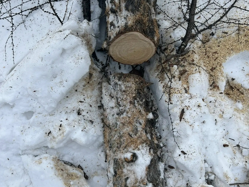 JPG Файл
