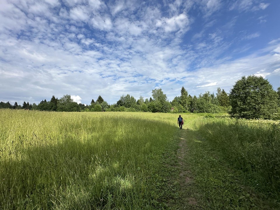 Гости усадьбы Мураново смогут пройти маршрутом Аксакова и Врубеля