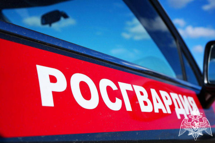 За прошедшую неделю росгвардейцы 1877 раз выезжали по сигналам «Тревога» с охраняемых объектов в Подмосковье