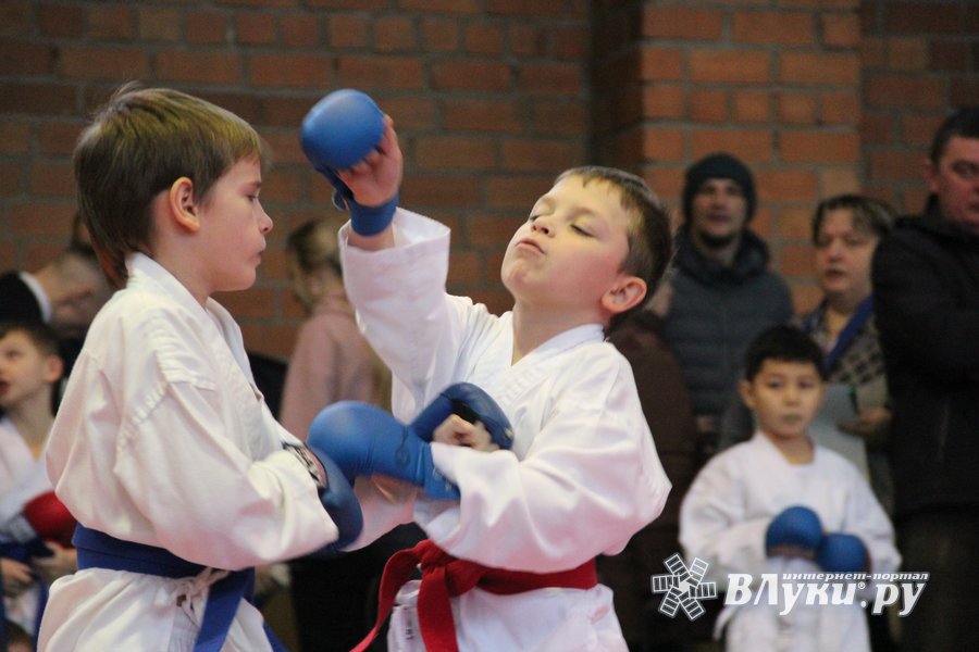 Прошли соревнования по карате. Каратэ на улице. Karate WKF uzb chempionati. Фото соревнований в Боготоле по карате сегодня. Роман Зуев фотография город Великие Луки.