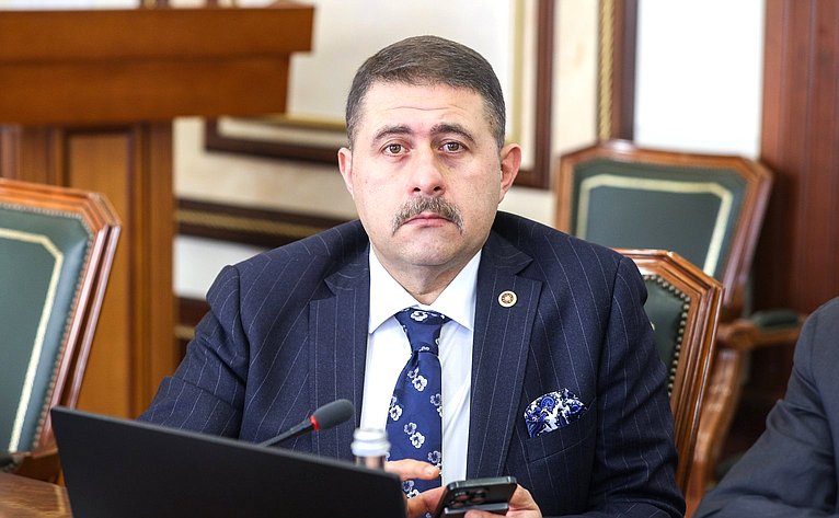 Встреча сенаторов РФ с депутатом Великого национального собрания Турции, председателем группы дружбы с Россией Великого национального собрания Турции Муратом Байбатуром