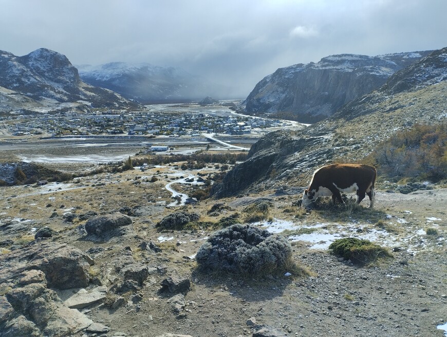 Фиц Рой – плод терпения