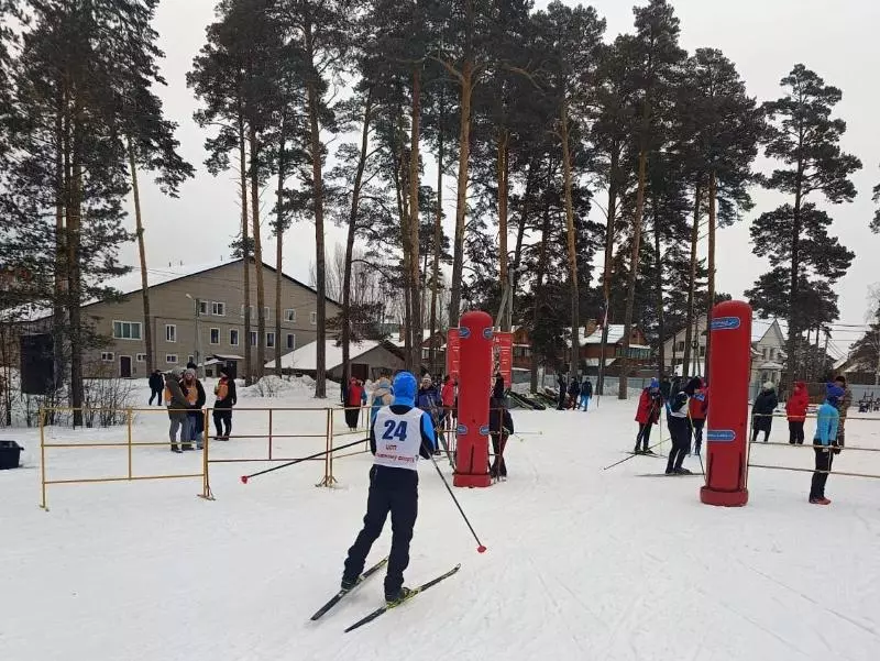 Одиннадцатая зимняя Спартакиада пенсионеров Новосибирской области состоится в Бердске 12 и 13 марта.
