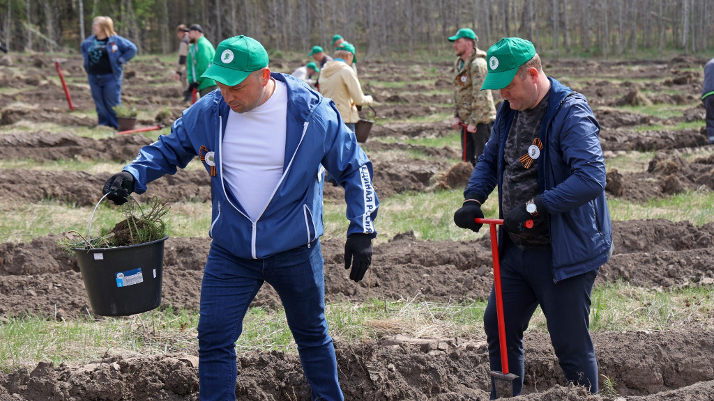 В Алтайском крае высадили более 2 млн деревьев в рамках акции «Сад памяти» Фото №1