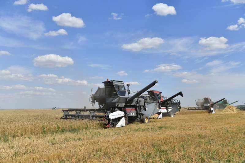 В Саратовской области собрано 2 млн тонн зерна