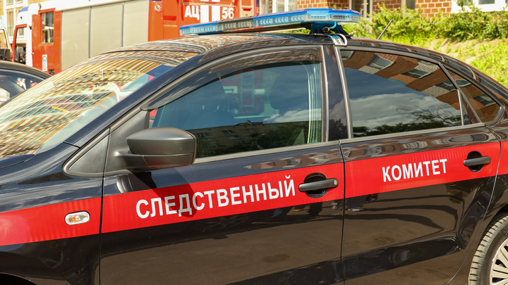 В Таганроге возбуждено уголовное дело против подставного и настоящего директоров фирмы
