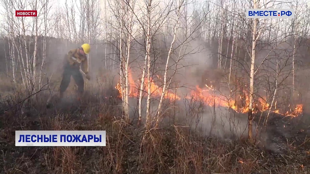 Карта лесных пожаров красноярского края лесопожарный