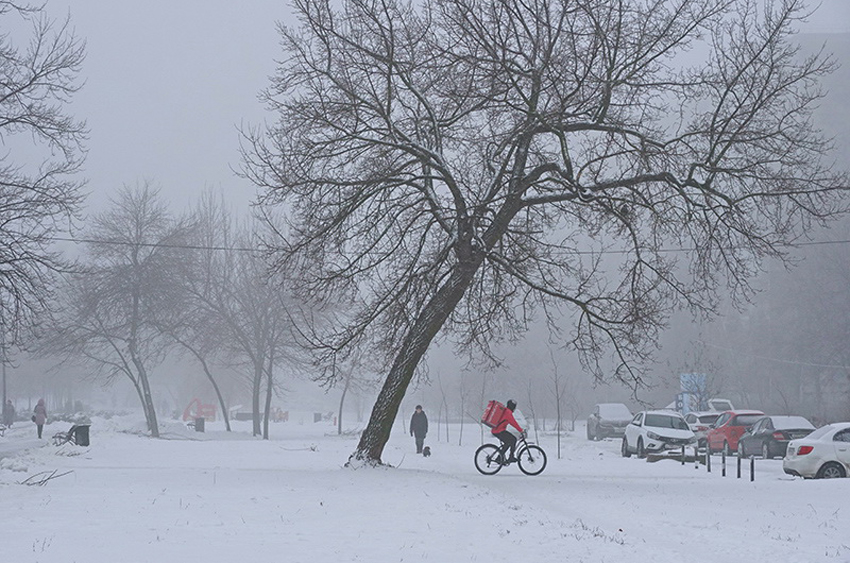 Снег в липецке