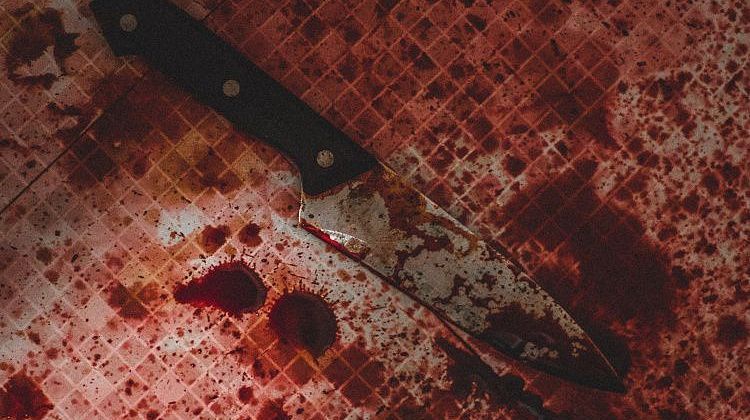 Кровавая месть !Подробности резни в архангельском техникуме