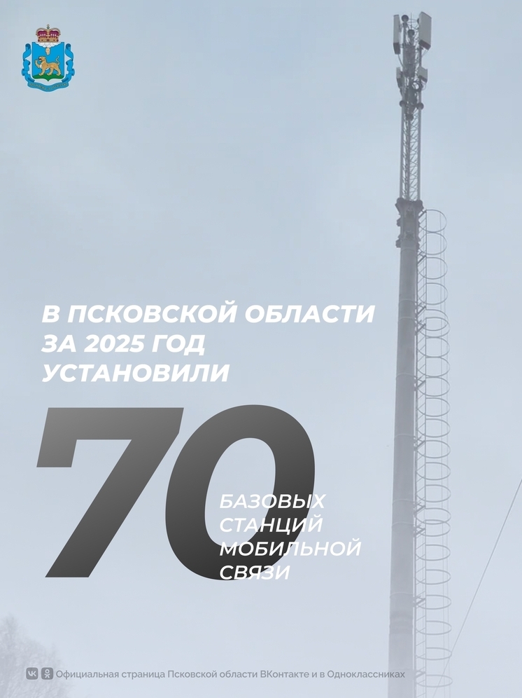 В Псковской области в 2025 году установили рекордные 70 вышек сотовой связи