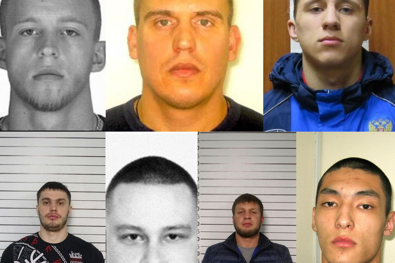 Малиновские красноярск новости. Малиновские красноярск новости. Малиновские красноярск новости. Малиновские красноярск новости. Опг малиновского красноярск.