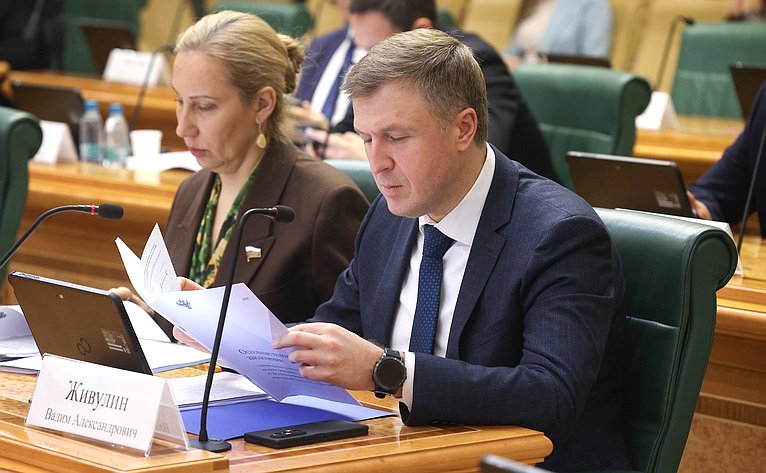 Заседание Комитета Совета Федерации по бюджету и финансовым рынкам