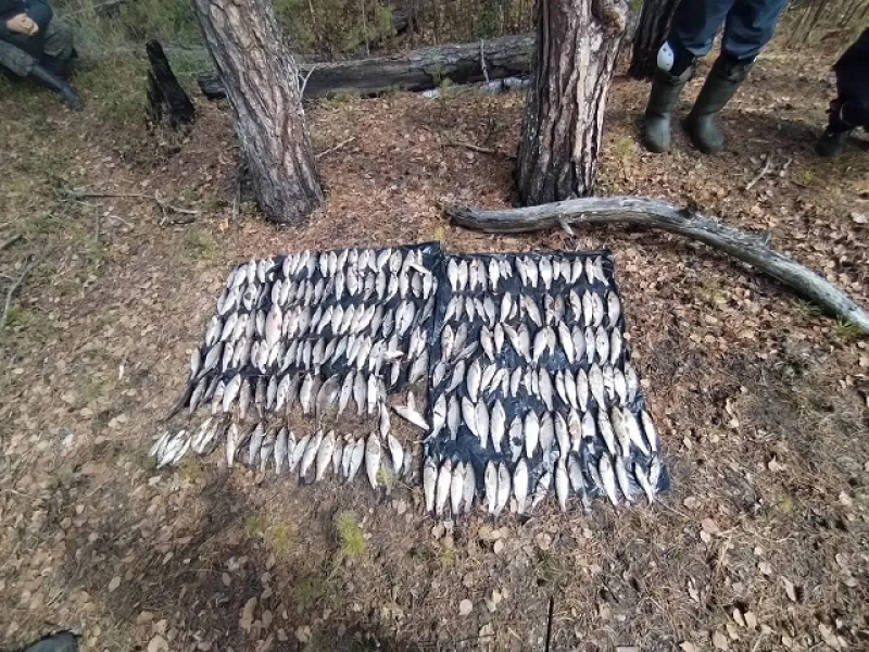 PNG Файл