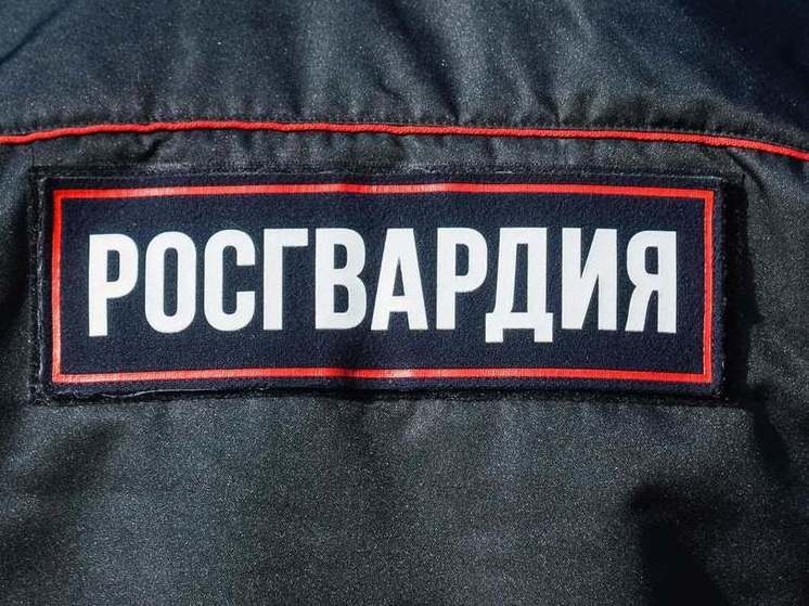 Охраняется росгвардией картинка