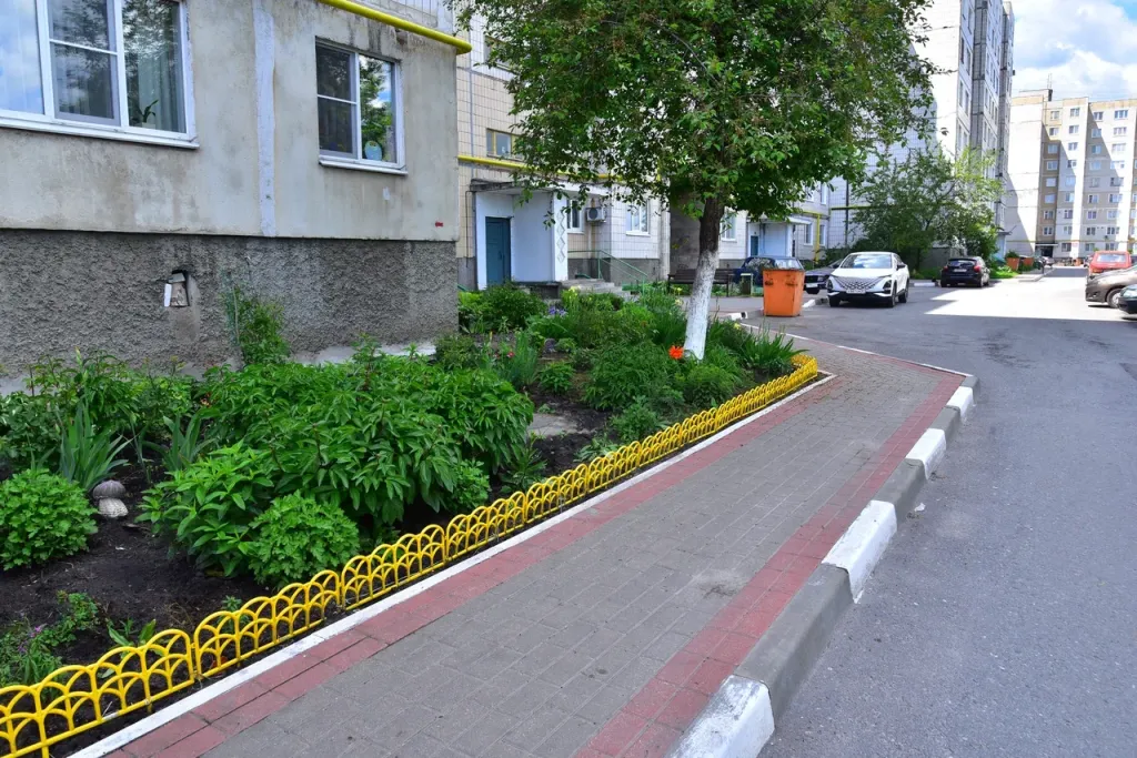 DSC_7269.JPG