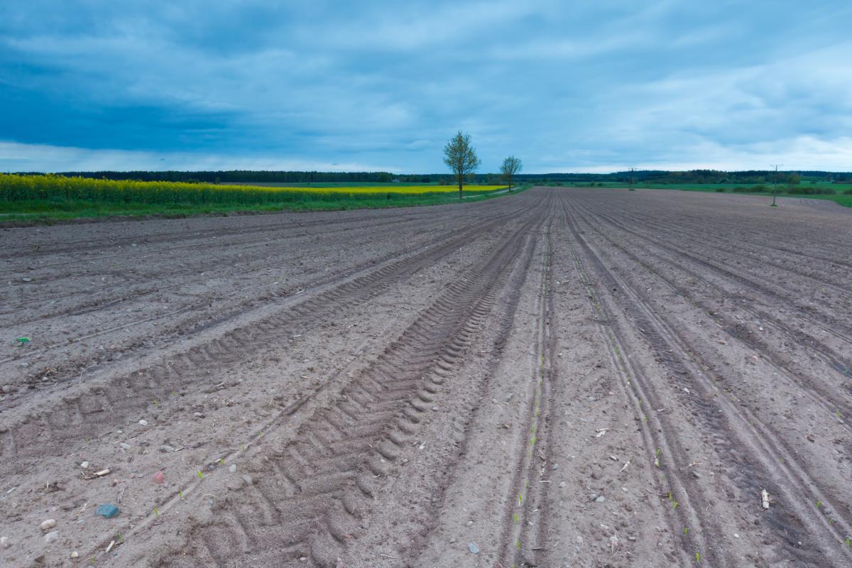 Меры по борьбе с опустыниванием земель могут включить в нацпроект