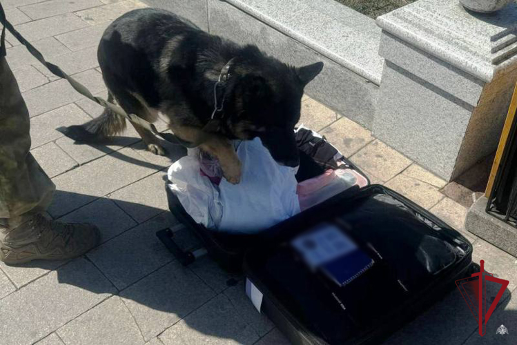 Взрывотехники Росгвардии обследовали подозрительный чемодан в Улан-Удэ