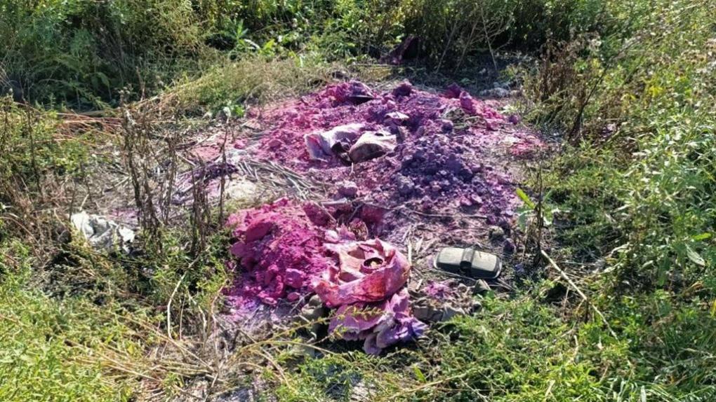 Под Омском нашли опасную ртутную свалку. Что грозит экологии?