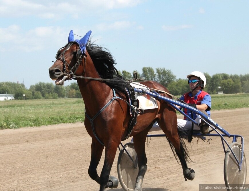 Двенадцать небанальных мест в Новосибирске