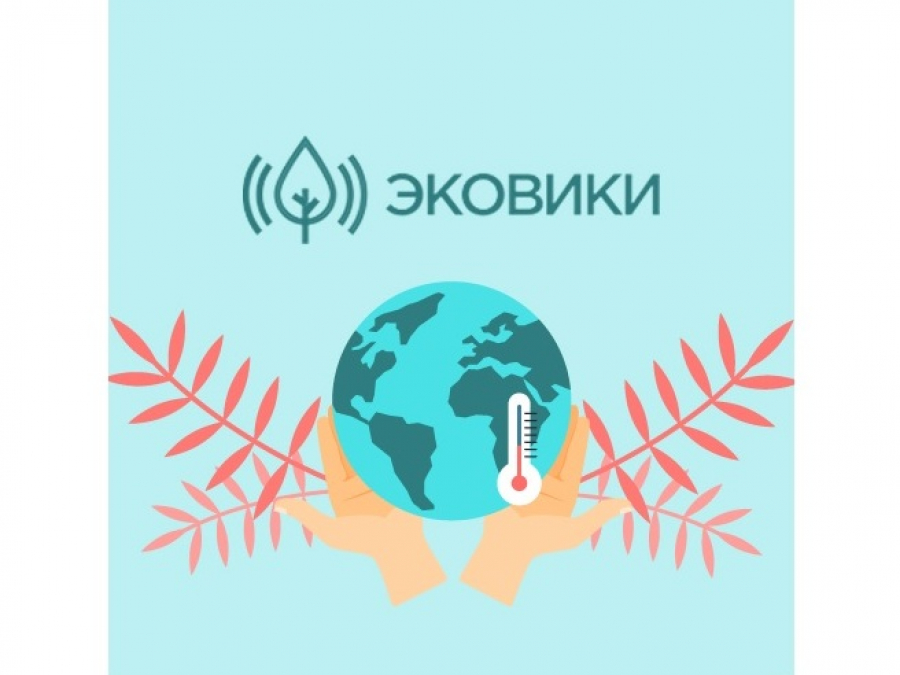 Эковики. Эковики логотип. Платформа Эковики. Эковики официальный сайт.