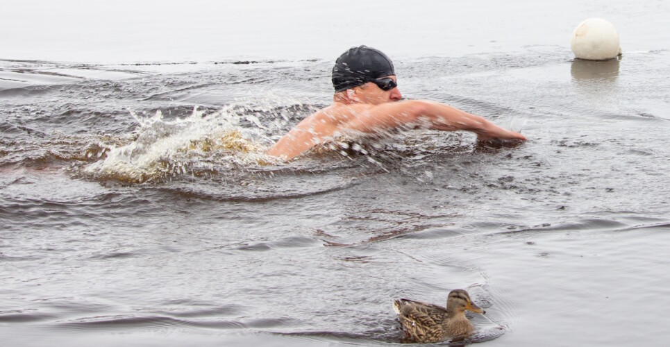 25 метров в холодной воде – «Новгородские моржи» провели традиционный заплыв накануне Дня защитника Отечества