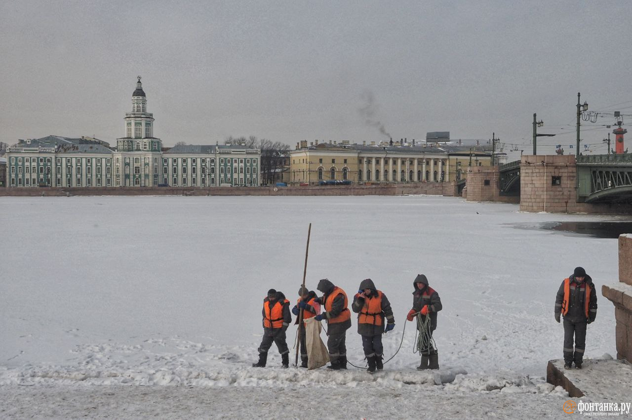 москва февраль 2022