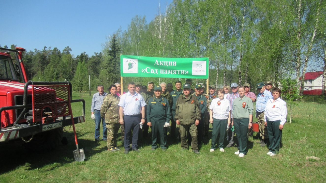 08 akcja