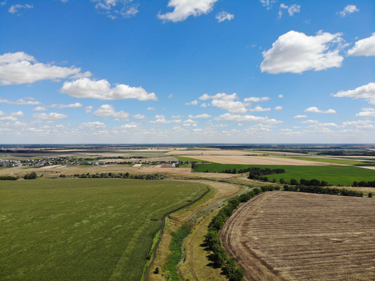 совхоз михайловский воронежская область. село красные холмы панинский район воронежская область. село пады воронежская область панинский район. карта панинского района воронежской области. красный лиман панинский район воронежская область.