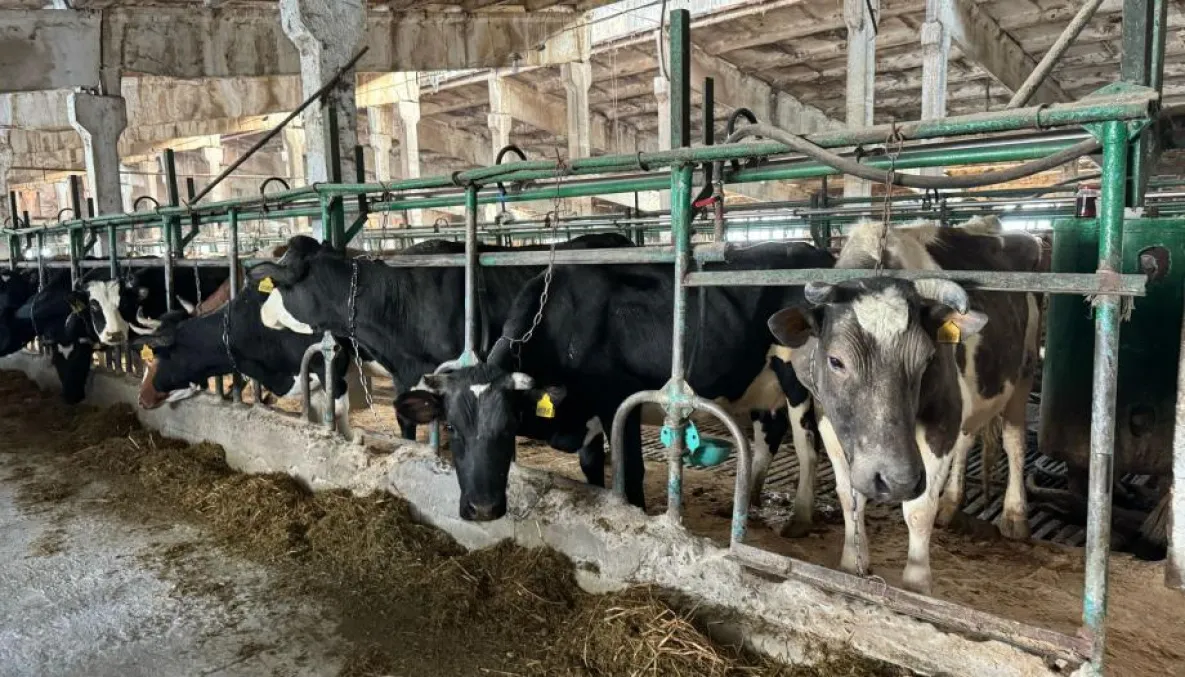 Бурятская сельхозакадемия обучит студентов для АПК Хабаровского края