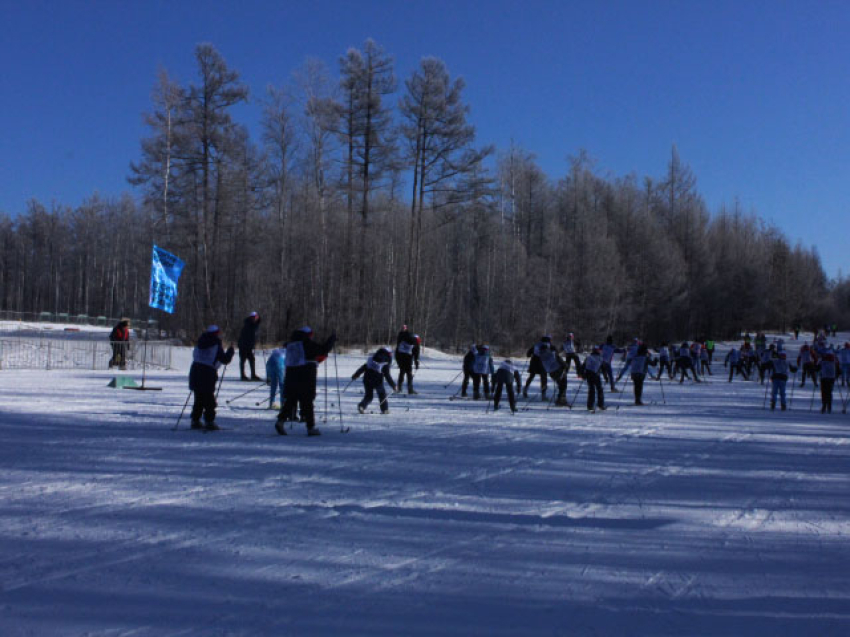 Конькобежный Высокогорье Чита высота