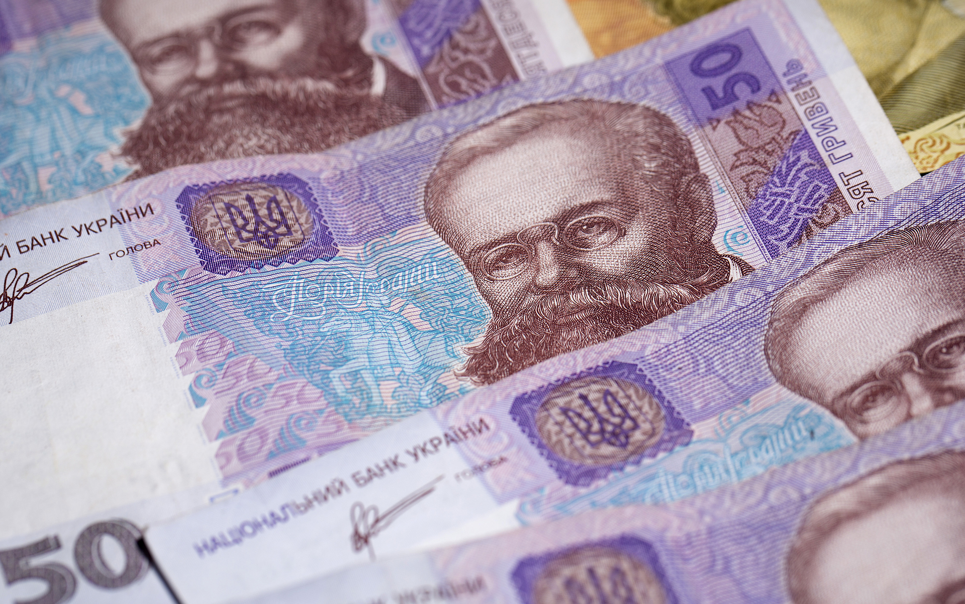 1600 гривен. Гривны купюры. Гривна изображение. Гривны Украины. Украинские деньги.