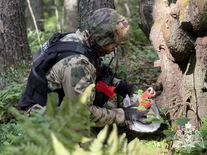 В Коми за 2025 сотрудники спецподразделений Росгвардии выполнили более 1460 специальных мероприятий (видео)